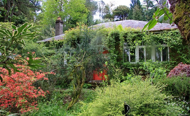 Lost in the Garden, Cove
A small Cottage lost in the middle of Linn Botanical Gardens near Cove. The cottage was built in 1925 before when the garden was still around the main Villa at the top of the cliff.   [url=http://www.streetmap.co.uk/map.srf?X=222288&Y=682603&A=Y&Z=115/] Map location. [/url]
