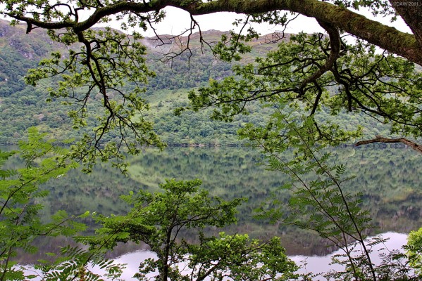 Loch Lomond through the trees
Taken from Inveruglas looking over to the east shore. [url=http://www.streetmap.co.uk/map.srf?X=232367&Y=709835&A=Y&Z=120/] Map location. [/url]

