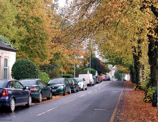 Autumn in Lowndes Street, Barrhead
This tree lined street runs parallel to the main street and must be one of the few areas of Barrhead that has seen little change over the decades, it still has a selection of small and large stone built houses. [url=http://www.multimap.com/map/browse.cgi?lat=55.7995&lon=-4.3897&scale=10000&icon=x/]Map location[/url]
