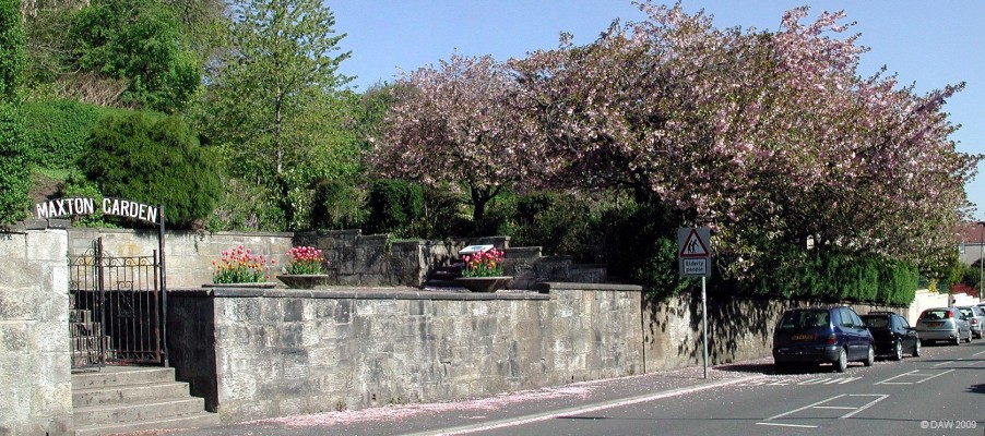 Maxton Garden, Barrhead
Gifted to Barrhead by the wife of James Maxton after his death in 1946.  Maxton was one of the best known MP's of the 1920s and 1930s.  He dedicated his life to working against poverty, unemployment and social injustice.  In the House of Commons he was know as one of the 'Red Clyde' revolutionaries.  He was born in Pollockshaws in 1885 but moved to Barrhead in 1888. [url=http://www.streetmap.co.uk/map.srf?X=249495&Y=659177&A=Y&Z=115/] Map location. [/url]
