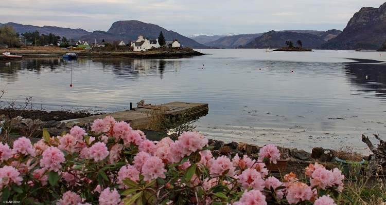 Plockton in Spring
An evening view looking out across Loch Carron from Plockton in late spring.  [url=http://www.streetmap.co.uk/map.srf?X=180367&Y=833512&A=Y&Z=115/] Map location. [/url]
