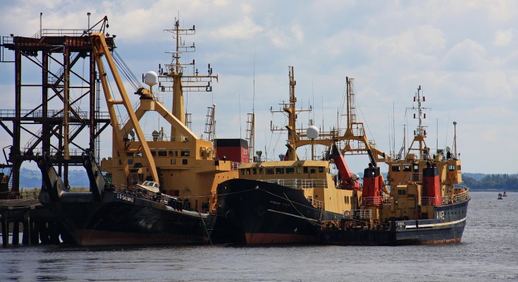 RMAS graveyard, Greenock, 2011
From left to right, SD Salmaid, SD Colonel Templer and SD Tormentor.  These ships all date from the 1980s and were operated by the Royal Maritime Auxiliary service in support of the Royal Navy.  Salmaid was for maintaning moorings and markers, Templer was an acoustic research ship and Tormentor was for Torpedo recovery.  Since this photo was taken Tormentor has been scrapped and the other two sold.
