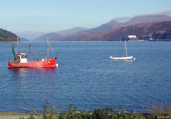 RN Armament Depot, Coulport
This view looking down Loch Long from Ardentinny shows the massive floating jetti (top right) built to enable Trident submarines to be armed under cover.  The height of the building is to allow the 10m length of the Trident D5 missile to be lifted clear of the Submarine.  Finart oil terminal can be seen in the distance above the fishing boat. [url=http://www.multimap.com/map/browse.cgi?lat=56.0523&lon=-4.8816&scale=25000&icon=x/]Map location[/url] (details of Couport base has been censored from OS map)
