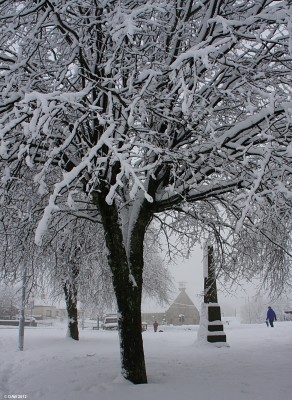 The Roberston Memorial, Neilston
Taken in Feb 2010, the old United Free Church building is in the background, now the halls for Neilston Parish Church. [url=http://www.streetmap.co.uk/map.srf?X=248017&Y=657292&A=Y&Z=110/] Map location. [/url]

