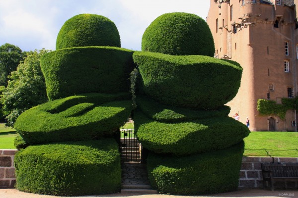 Sculptured Topiary, Crathes Castle
Some of the impressive Topiary in the gardens at Crathes Castle, near Banchory.
