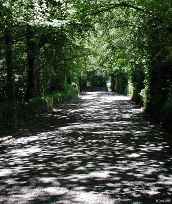 Springhill road, Barrhead
Dappled sunlight shines through the trees near the five cross roads at Springhill Road.  [url=http://www.streetmap.co.uk/streetmap.dll?G2M?X=249930&Y=657700&A=Y&Z=3/]Map location[/url]
