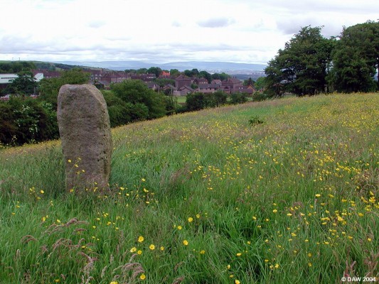 Standing Stone
This stone stands in a field next to Kirkton Road, I don't think it is of any historic significance but I thought it made a nice picture looking over the lower end of Neilston towards Glasgow and the Campsie hills in the distance.
