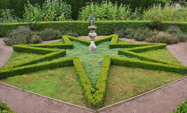 Boxwood Star, Cawdor Castle Gardens
