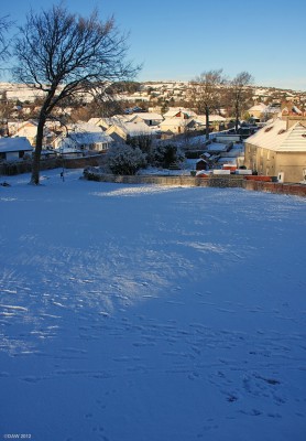 The sledging hill, Arthurlie House, Barrhead
This picture is here for purely sentimental reasons.  When I was a boy this is where we went sledging.  The steep embankment at the tennis courts started you off down the slope and if you were lucky you didn't go through the hedge at the bottom. It seemed steeper in those days. [url=http://www.streetmap.co.uk/map.srf?X=249787&Y=658309&A=Y&Z=115/] Map location. [/url]
