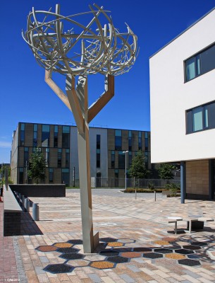 The tree of life?  Barrhead
Sculpture outside the new Barrhead Health and care centre.  The Sculpture is the work of Glasgow based  Iain Kettles and Susie Hunter and is said to depict a tree with nests.  [url=http://www.streetmap.co.uk/map.srf?X=250487&Y=659147&A=Y&Z=110/] Map location. [/url]
