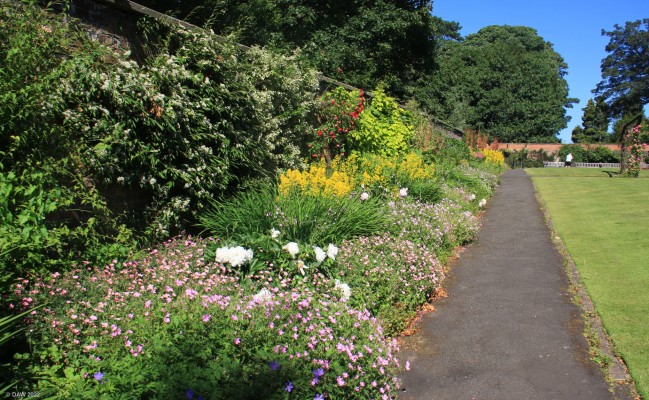 Summer Colour, The Walled Garden, Bellahouston Park, Glasgow
