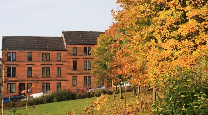 Autumn in Barrhead
Looking over towards the tenements on Walton street, 2008.  [url=http://www.streetmap.co.uk/map.srf?X=250268&Y=659251&A=Y&Z=106/] Map location. [/url]
