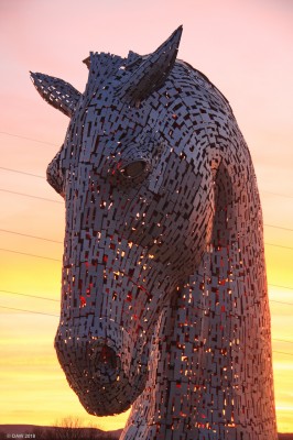 The Kelpies, Grangemouth
Why the long face?
