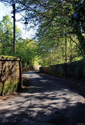 Crofthead Cottages lane, spring
[url=http://www.streetmap.co.uk/map.srf?X=247192&Y=657255&A=Y&Z=106/] Map location. [/url]
