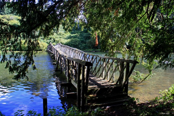 Footbridge, Manderston House grounds
A somewhat home made looking foot bridge across the lake in the grounds of Manderston House.  [url=http://streetmap.co.uk/map?X=381072&Y=654162&A=Y&Z=115/] Map location. [/url]
