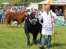 20252C_Cattle_3.JPG