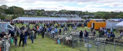 Filename=2025_Neilston_Show_panorama.jpg
Filesize=4585KiB
Dimensions=5358x2222
Date added=Oct 08, 2026 2025_Neilston_Show_panorama.jpg