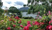 A_view_from_Inverewe_gardens.jpg