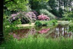Ardwell_Gardens,_Rhinns_of_Galloway.jpg
