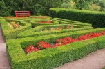 Box_hedges2C_Cawdor_Castle_garden.jpg