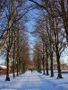 Cowan_Park_in_winter2C_Barrhead.jpg