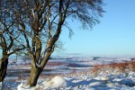 ERCW winter view.jpg