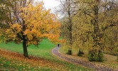 Levern Walkway, Autumn~2.jpg