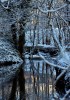 Winter_reflections2C_Levern_Water.jpg